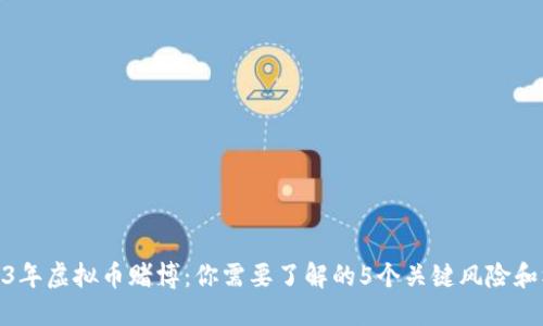 2023年虚拟币赌博：你需要了解的5个关键风险和机遇