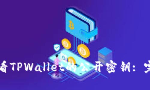 如何查看TPWallet的公开密钥: 完整指南