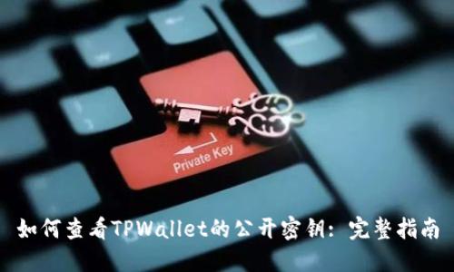 如何查看TPWallet的公开密钥: 完整指南
