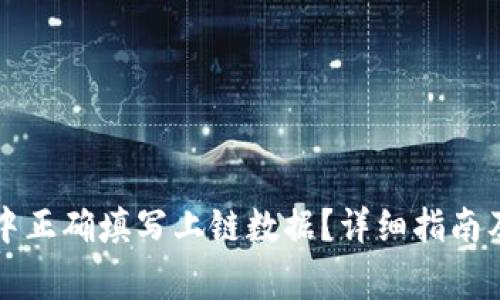 如何在TP钱包中正确填写上链数据？详细指南及常见问题解析